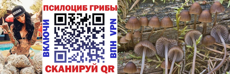 Псилоцибиновые грибы мицелий  Старый Оскол 